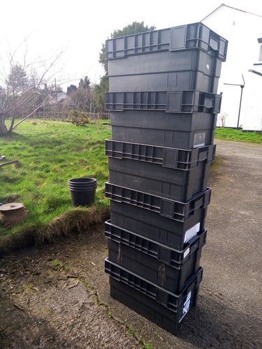 D plastic stacking - h/d,